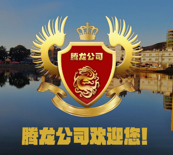酒店大堂豪华实景
